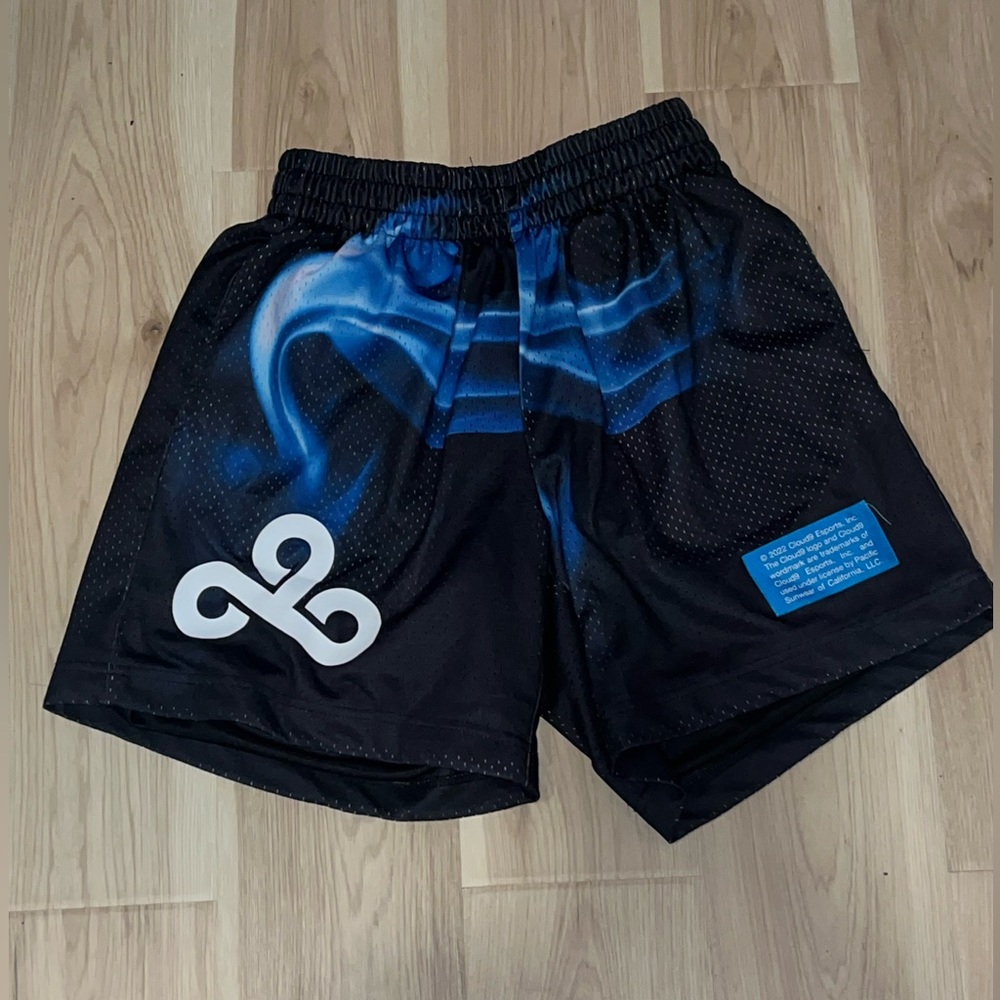 Pacsun Shorts